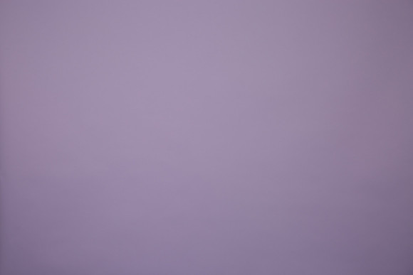 2M1A0021